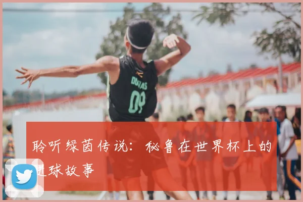 聆听绿茵传说：秘鲁在世界杯上的进球故事