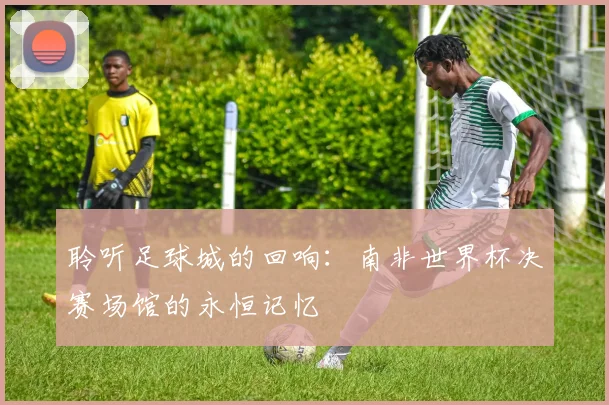 聆听足球城的回响：南非世界杯决赛场馆的永恒记忆