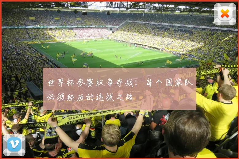 世界杯参赛权争夺战:每个国家队必须经历的选拔之路