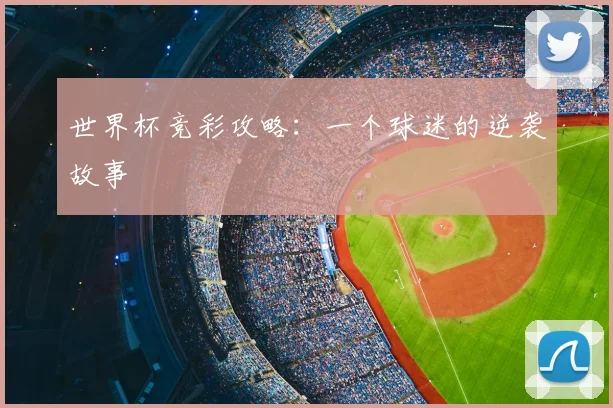世界杯竞彩攻略：一个球迷的逆袭故事