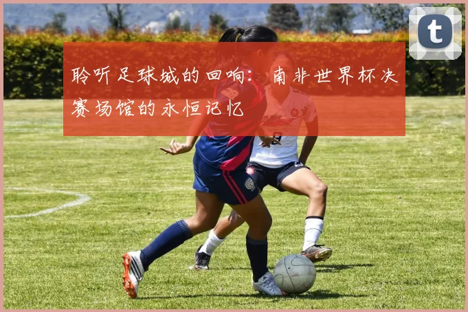 聆听足球城的回响：南非世界杯决赛场馆的永恒记忆