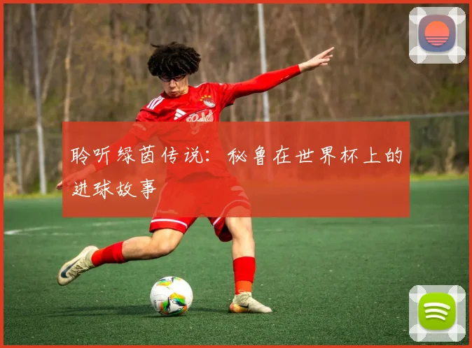 聆听绿茵传说：秘鲁在世界杯上的进球故事