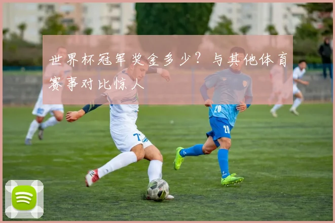 世界杯冠军奖金多少?与其他体育赛事对比惊人