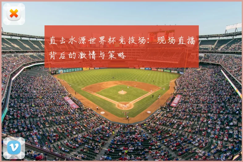 直击水源世界杯竞技场:现场直播背后的激情与策略