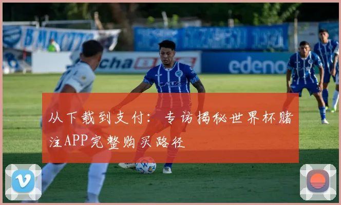 从下载到支付:专访揭秘世界杯赌注APP完整购买路径