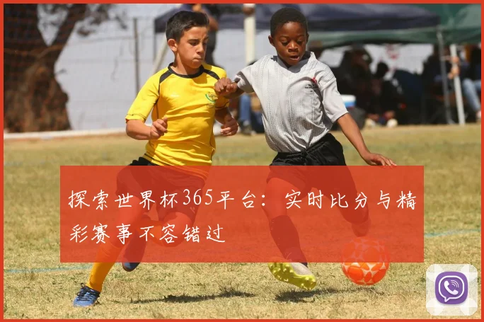 探索世界杯365平台：实时比分与精彩赛事不容错过