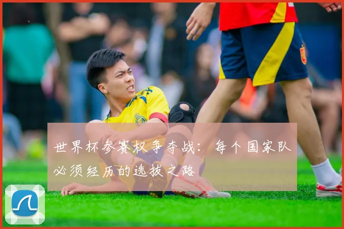 世界杯参赛权争夺战:每个国家队必须经历的选拔之路