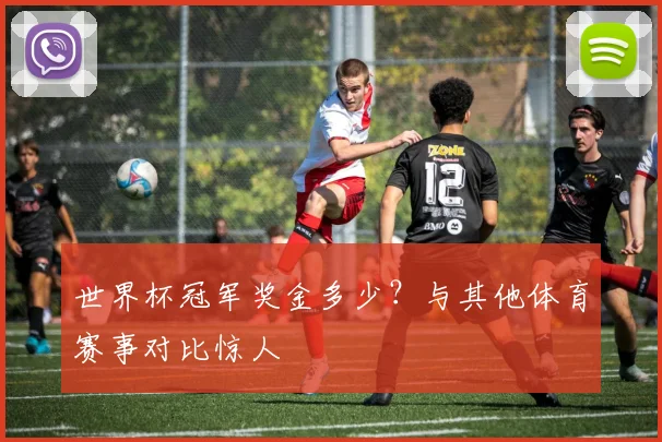 世界杯冠军奖金多少?与其他体育赛事对比惊人
