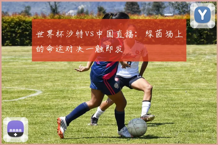 世界杯沙特vs中国直播：绿茵场上的命运对决一触即发