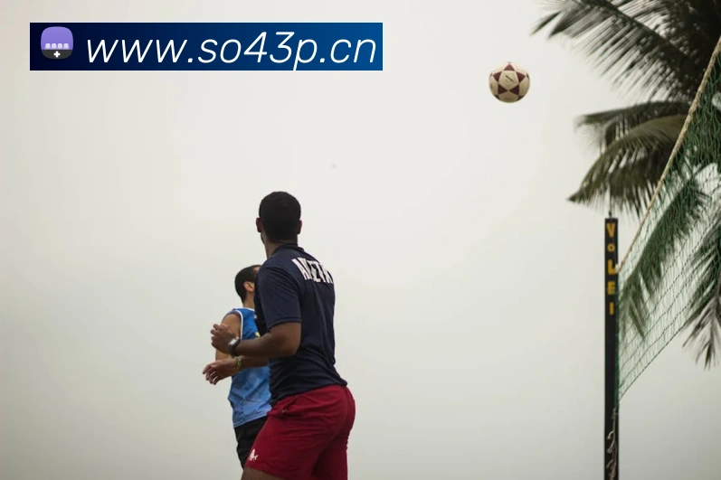 乐鱼网页版在线登录平台生态图